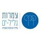 צמרות גליל ים