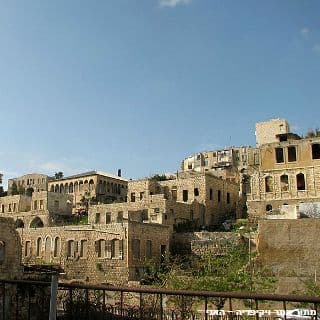 נווה צדק של חיפה יוצא לדרך