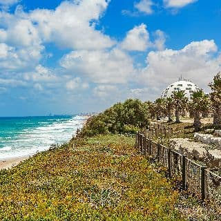 דירה באשקלון - איכות מגורים או השקעה טובה?
